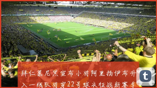 拜仁慕尼黑宣布小将阿里扬伊布升入一线队将穿22号球衣征战新赛季