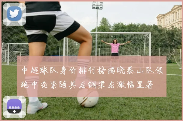 中超球队身价排行榜揭晓泰山队领跑申花紧随其后铜梁龙涨幅显著