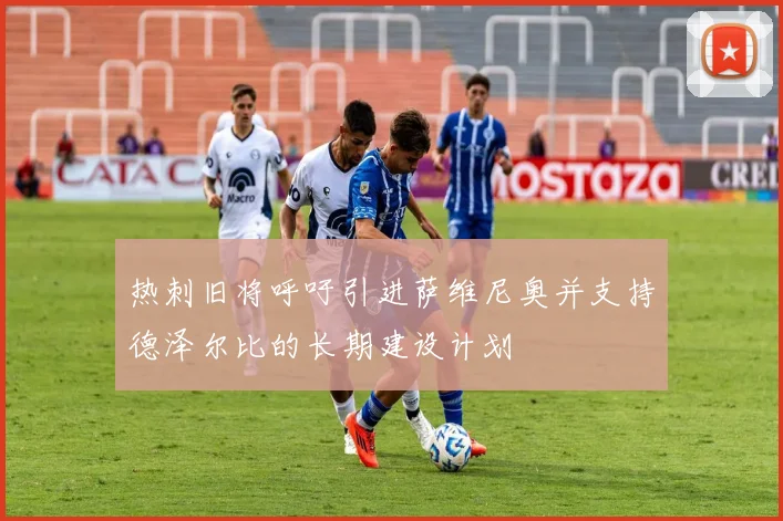热刺旧将呼吁引进萨维尼奥并支持德泽尔比的长期建设计划